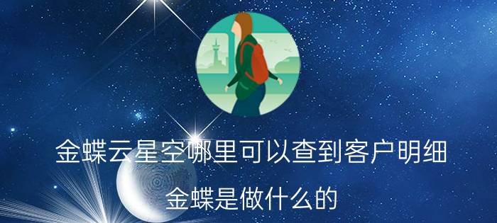 金蝶云星空哪里可以查到客户明细 金蝶是做什么的？